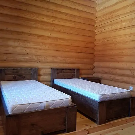 Eco House